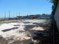 #TE0026 - Terreno para Venda em São Paulo - SP - 3