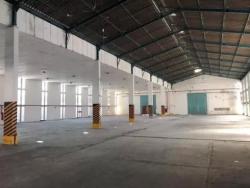 Galpão para Locação em São Paulo - 2