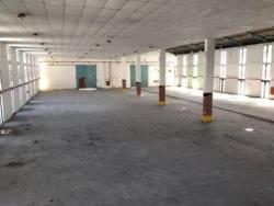 Galpão para Locação em São Paulo - 3