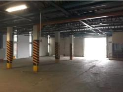 Galpão para Locação em São Paulo - 4