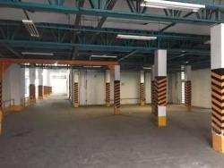 Galpão para Locação em São Paulo - 5